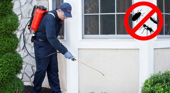 Sinop Kene İlaçlama böcek ilaçlama ve haşere kontrolü — ilaclama-tr.com